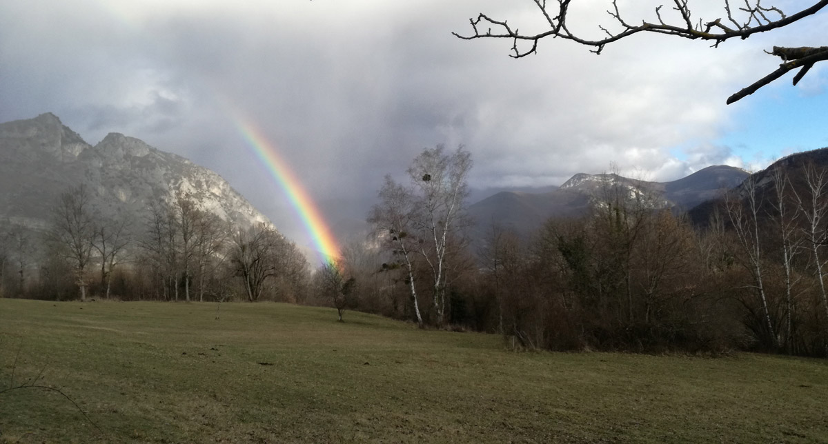 Ateliers et cours de Qi Gong en Ariège