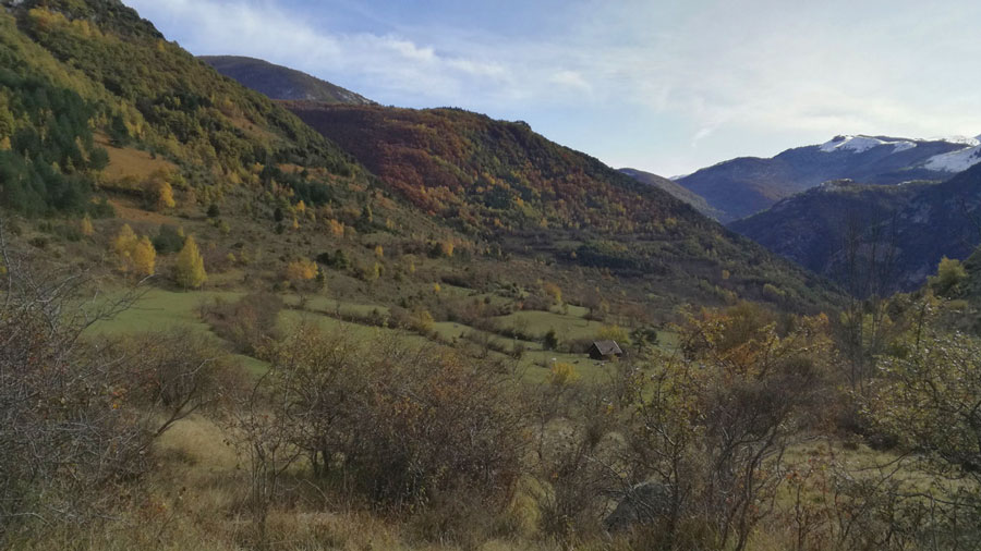 Stage de Qi Gong en Ariège